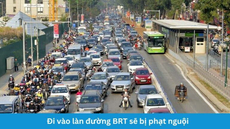 Phạt nguội khi đi vào BRT