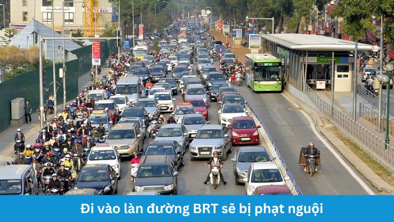 Phạt nguội khi đi vào BRT